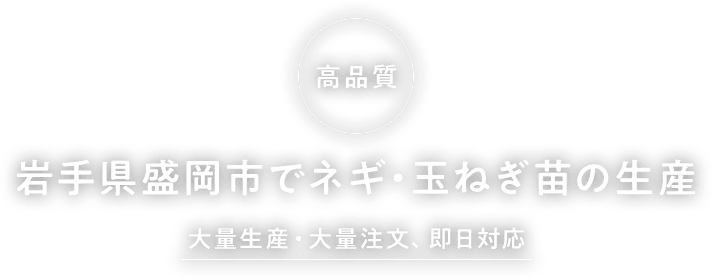 岩手県盛岡市でネギ・玉ねぎ苗の生産