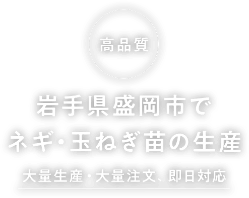 岩手県盛岡市でネギ・玉ねぎ苗の生産